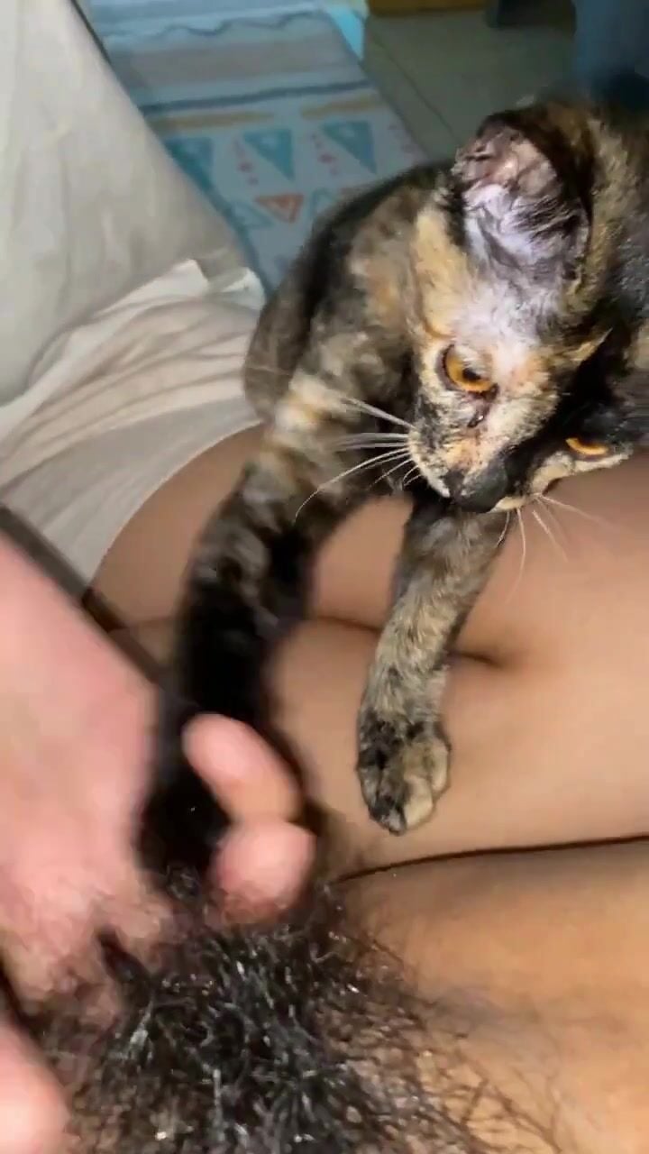 con miu tà dămmm
